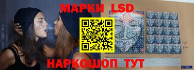 амф Заволжье