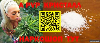 гидра Заводоуковск